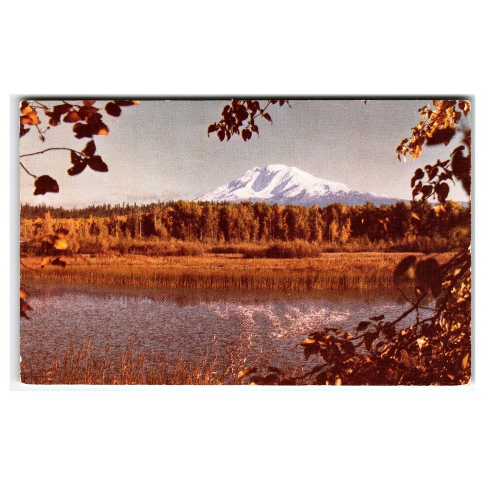 Vintage MT. Adams, Washington Postcard - Autumn Ray Atkeson Photo